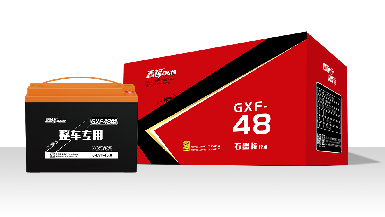 鑫锋电池-整车专用GXF-48